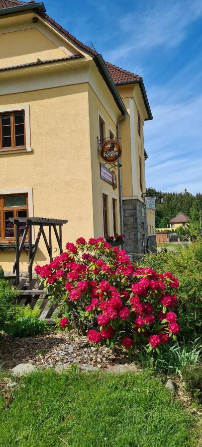 Pod Lipou Loučovice